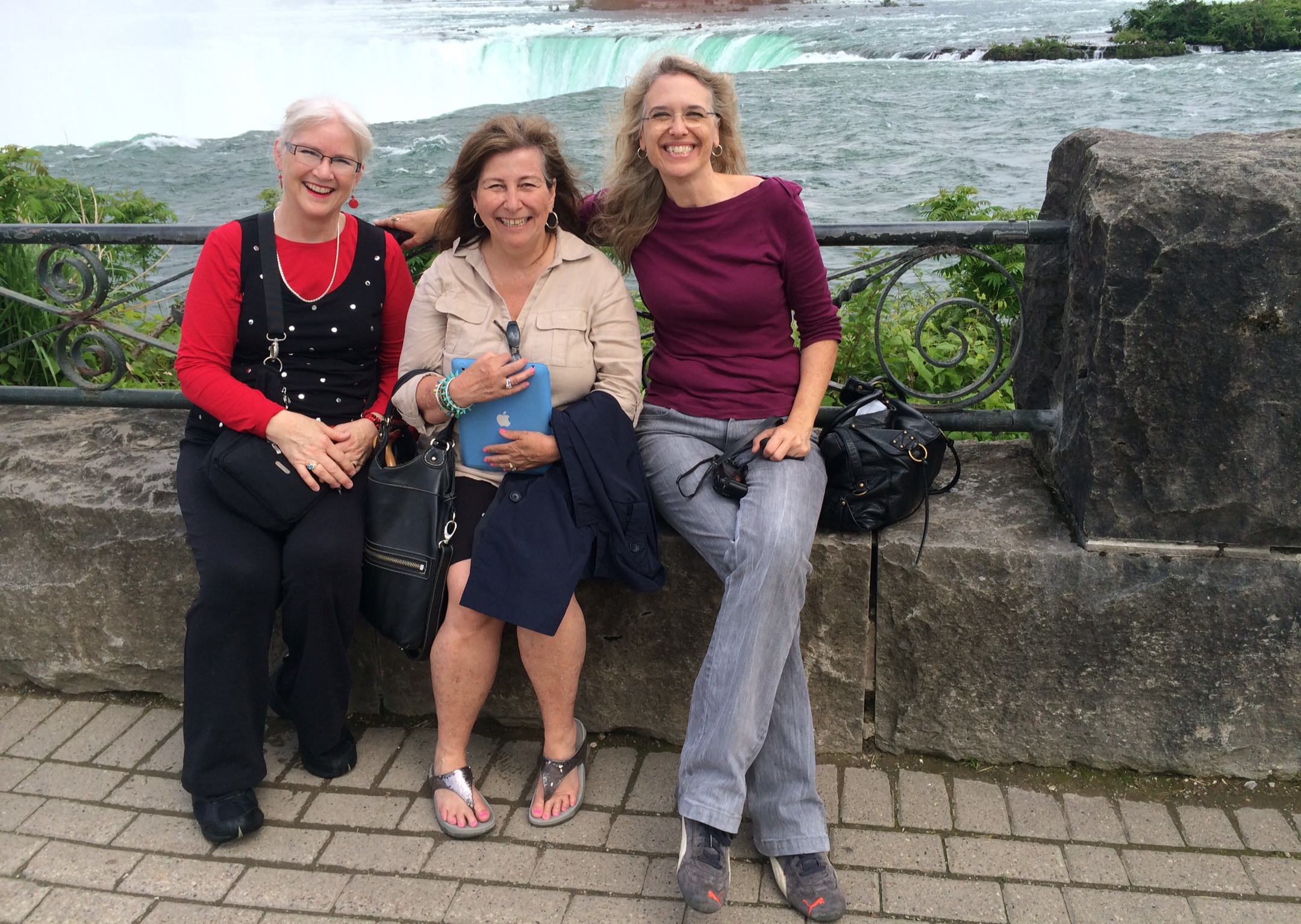 Jan, Jeannie, & Judy see the falls!